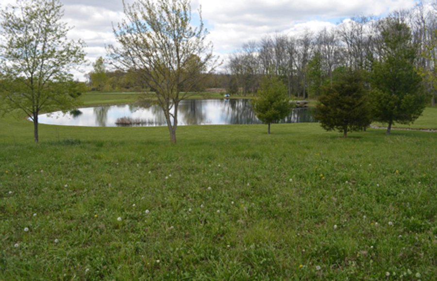 Real Estate & Personal Property Auction, Country Home, Building Sites, Pond